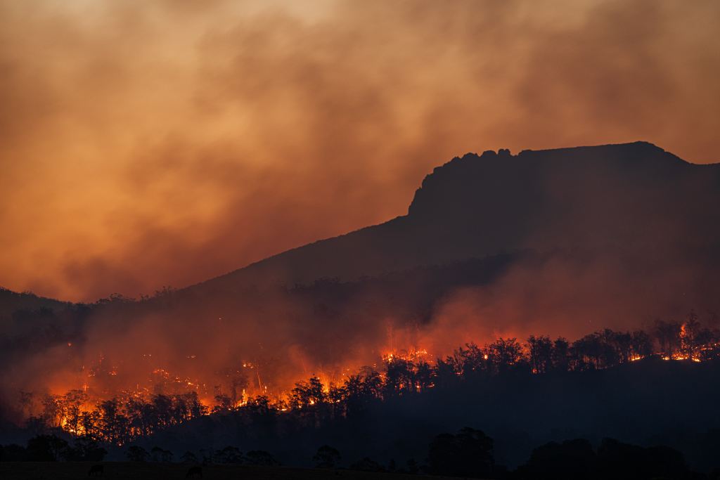 orman yangınları nasıl önlenebilir?
